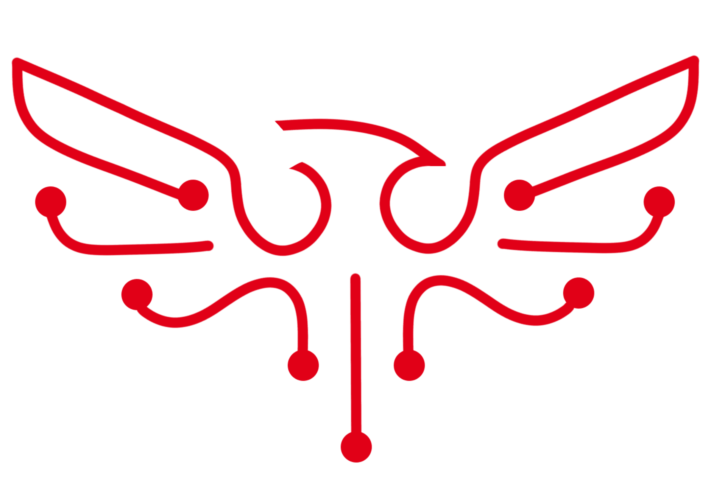 ANQA Logo