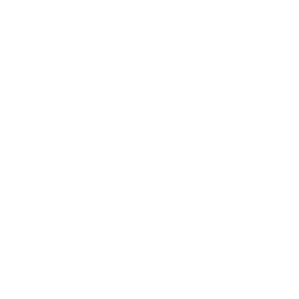 Bank-grade security