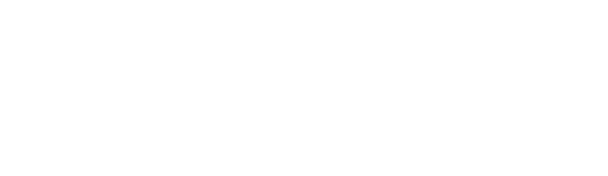 Vidh Intelligence